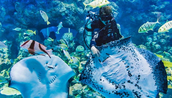Cairns Aquarium tickets