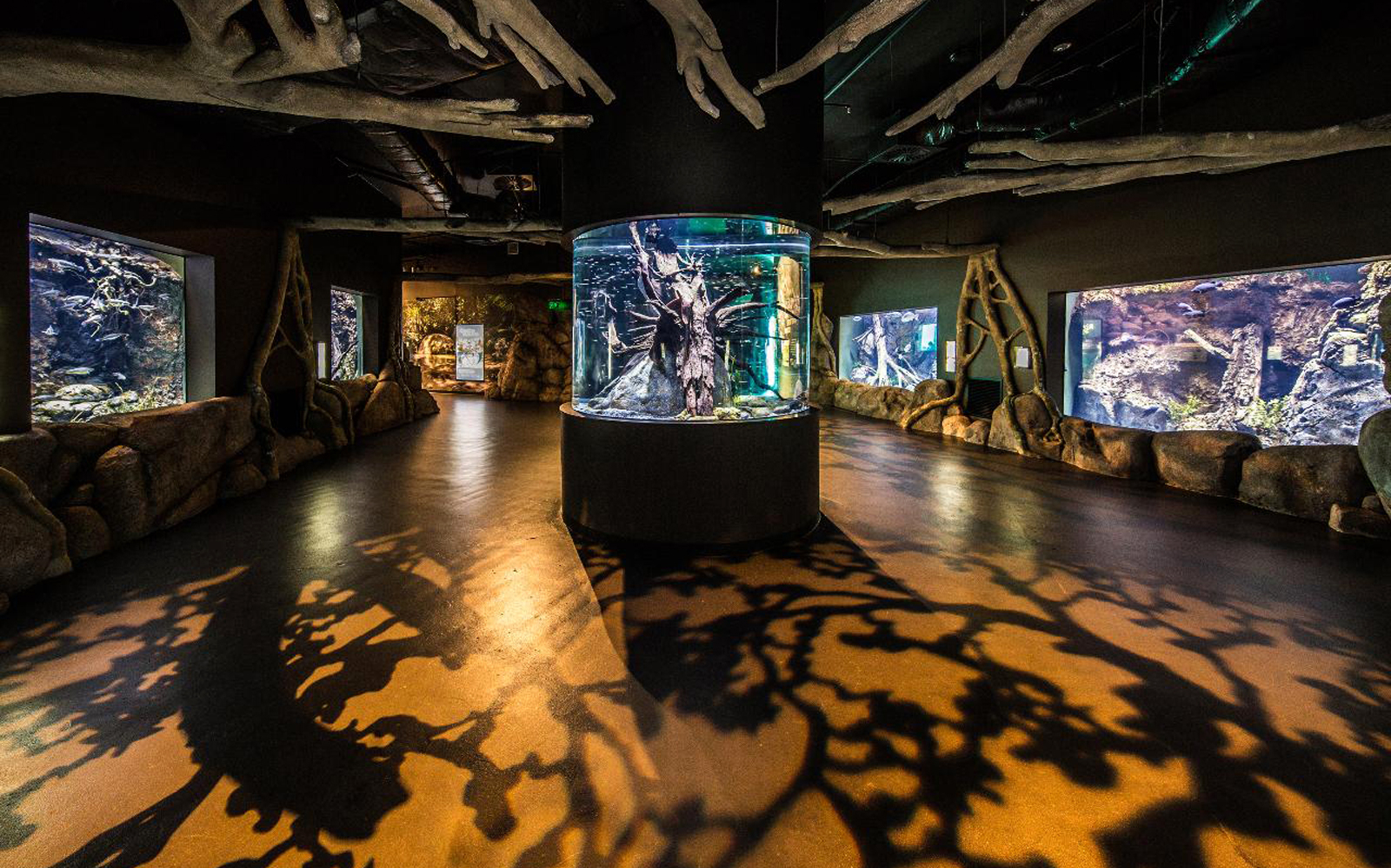 Cairns Aquarium tickets