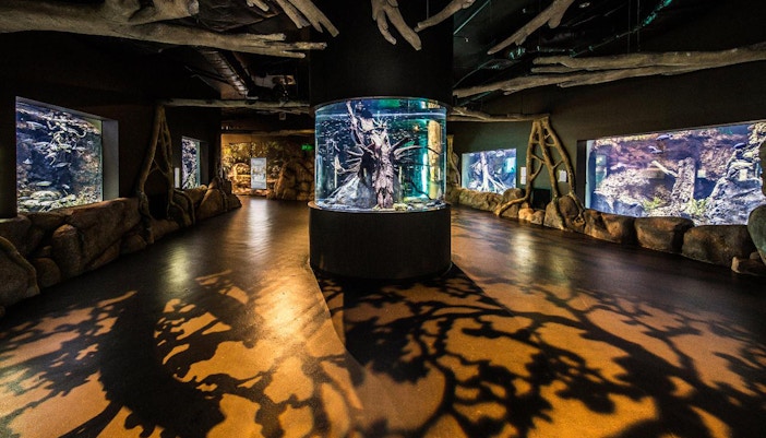 Cairns Aquarium tickets