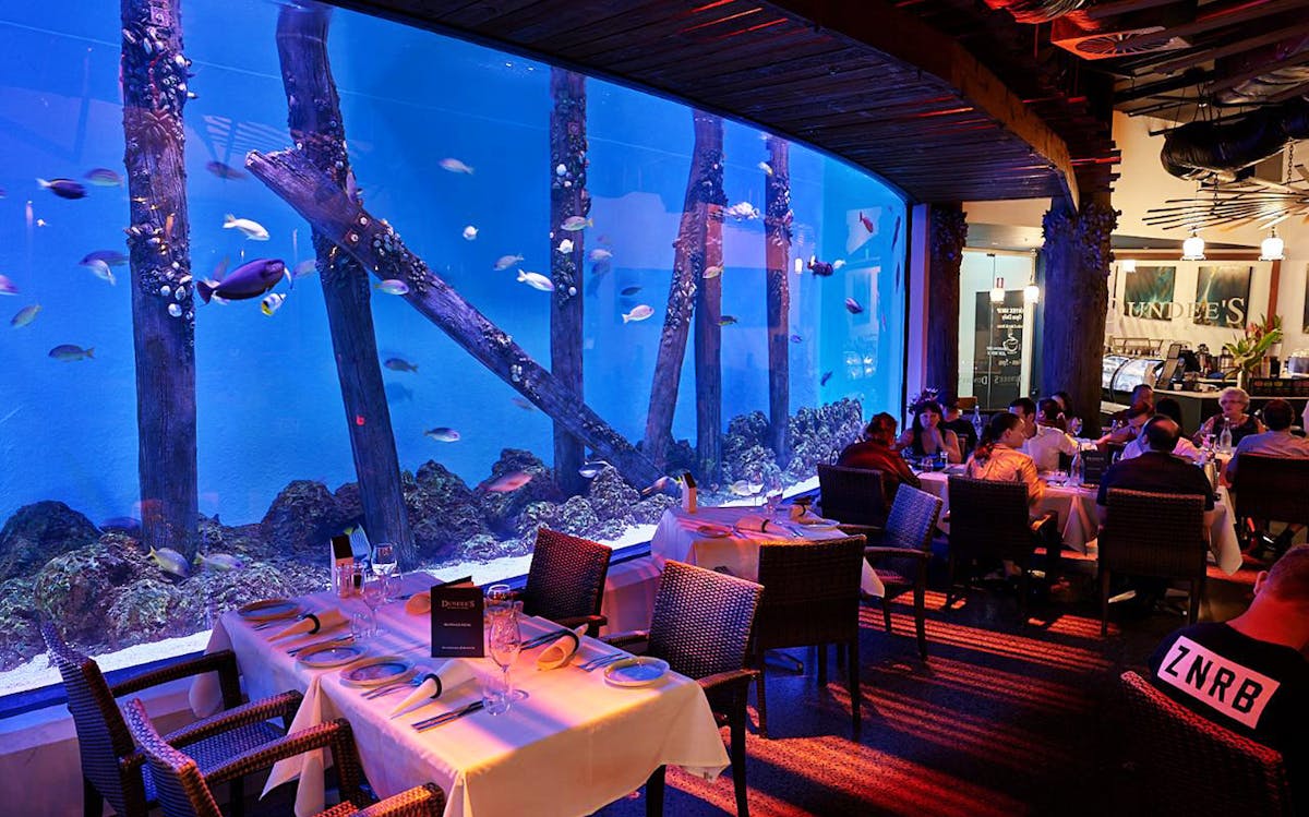 Sydney Aquarium Dinner