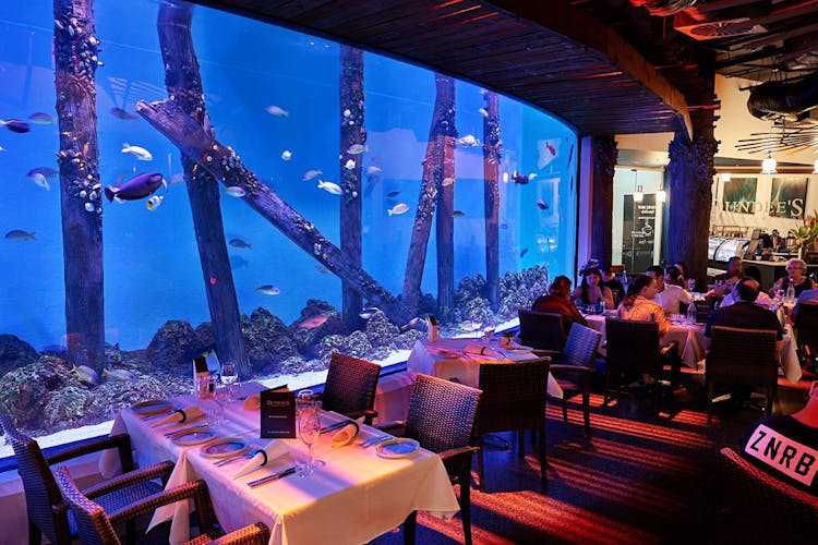 Cairns Aquarium Restaurant