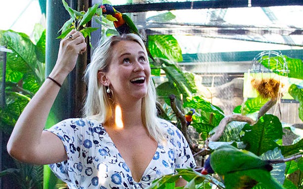 Person interacting with a colorful bird at Cairns Zoom & Wildlife Dome.