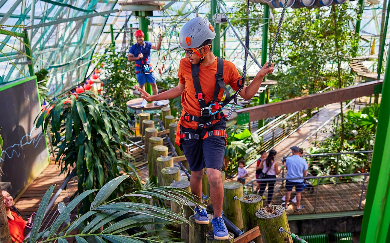 Person navigating ropes course at Cairns Zoom & Wildlife Dome, surrounded by lush greenery.