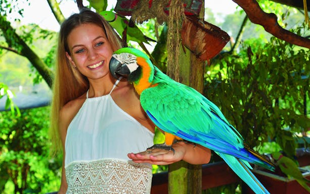 Person holding a colorful parrot at Birdworld Kuranda.