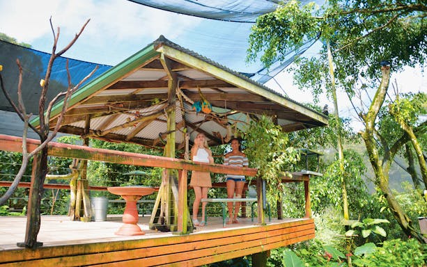 Visitors at Birdworld Kuranda viewing platform surrounded by lush greenery.