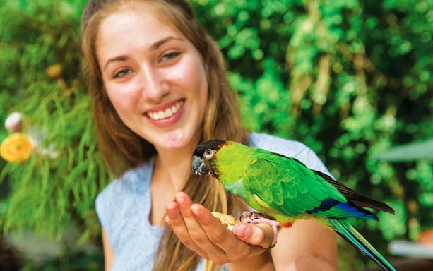Person holding a colorful parrot at Birdworld Kuranda.