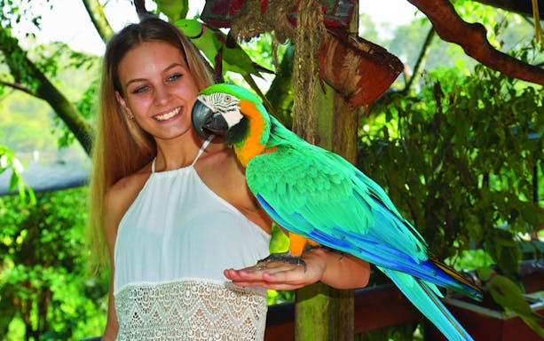 Person holding a colorful parrot at Kuranda Wildlife Experience.