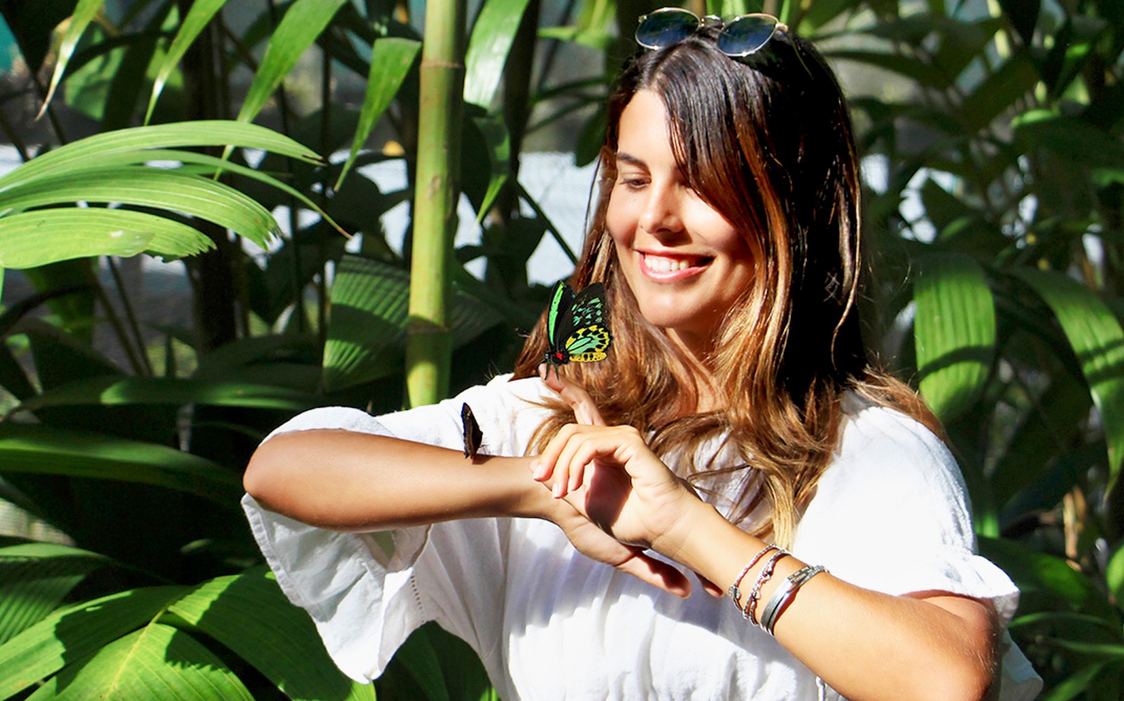 Woman interacting with butterflies at Kuranda Wildlife Experience, Australia.
