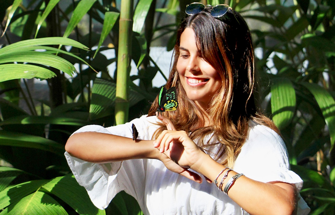 Kuranda Butterfly Sanctuary