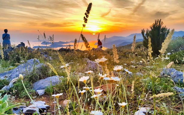Dubrovnik sunset view with people enjoying a toast in a wildflower field.