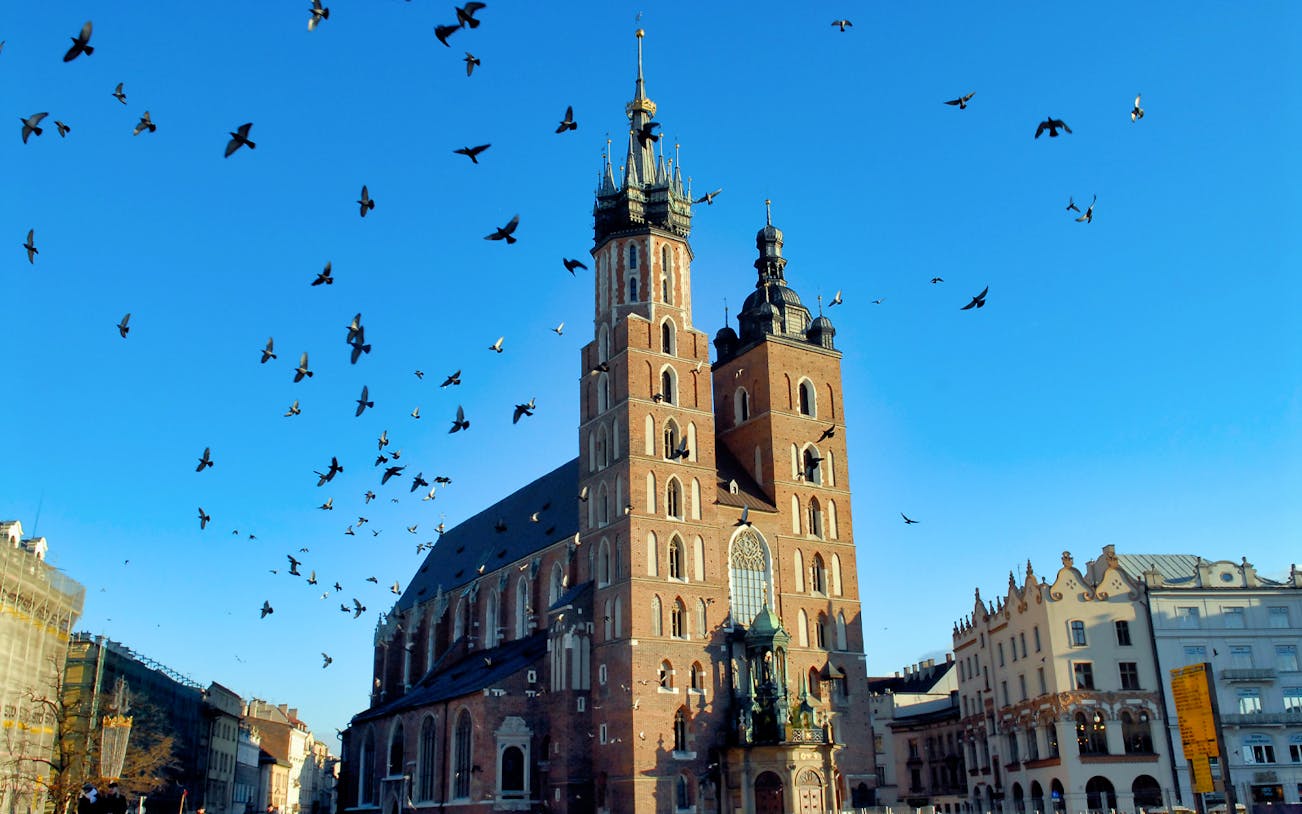 St. Mary's Basilica in Krakow with birds flying overhead.