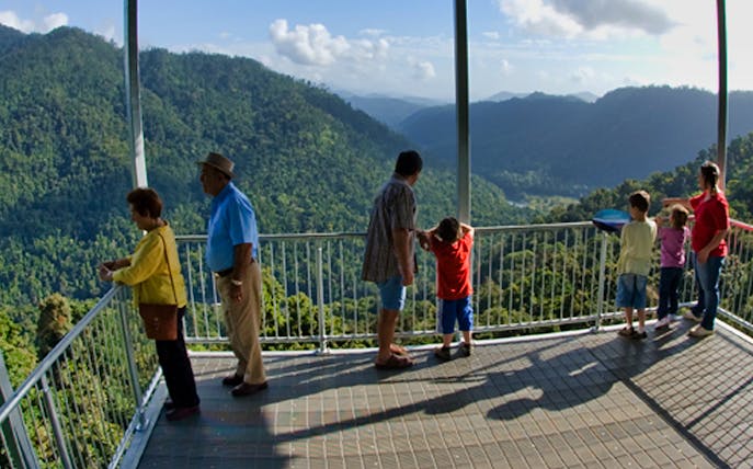 Visitors enjoying the view from Mamu Tropical Skywalk in Queensland rainforest.