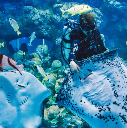 The complete guide to Cairns Aquarium in Australia