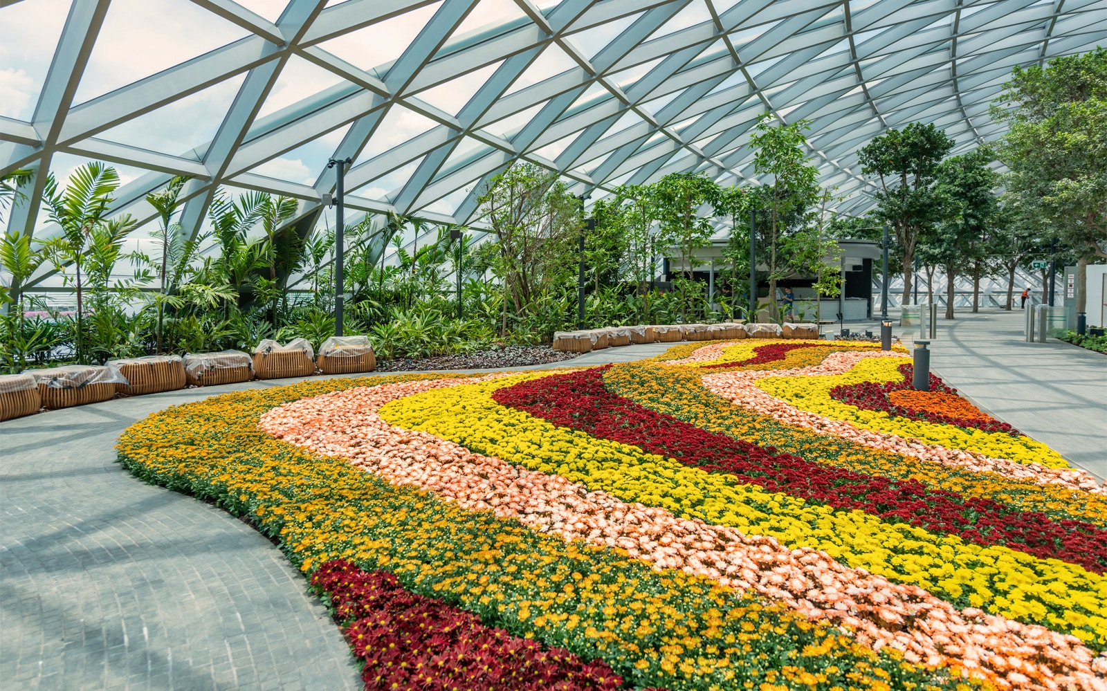 Jewel Changi Canopy Park