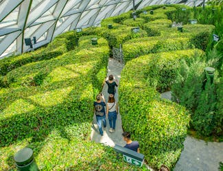 Hedge Maze - jewel Changi