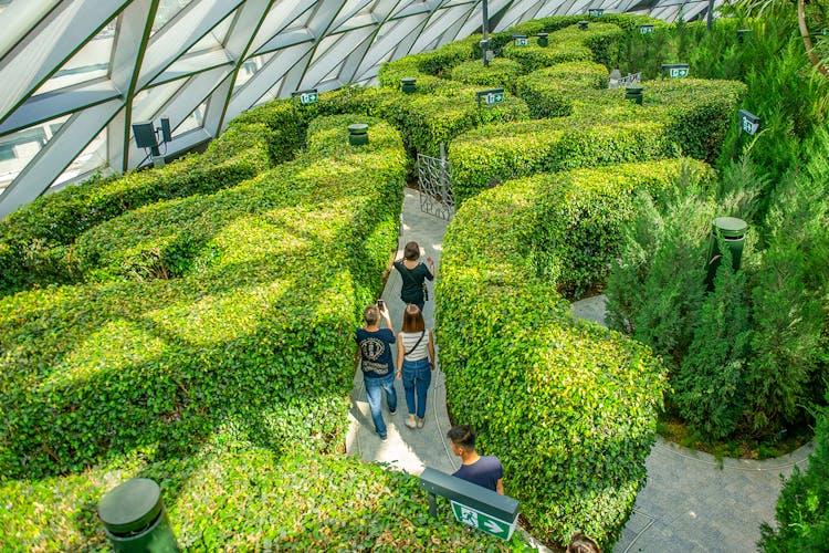 canopy park jewel changi

 