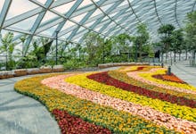 Jewel Changi Singapore
