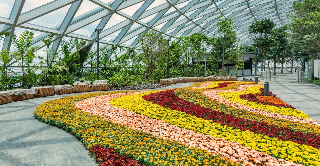 Canopy Park - Jewel Changi