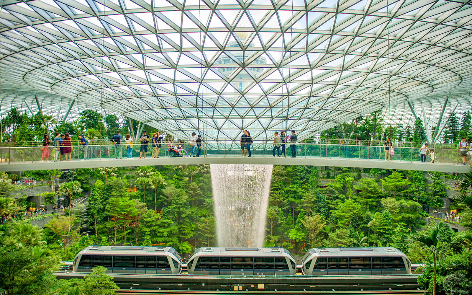 Jewel Changi Canopy Park: Billets