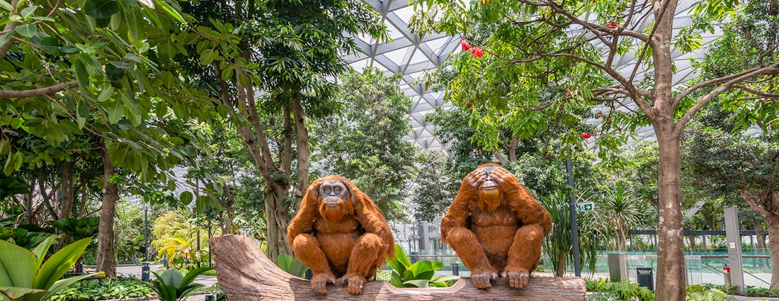 Jewel Changi Attractions