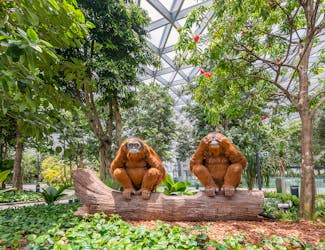 Topiary- Jewel Changi Attractons