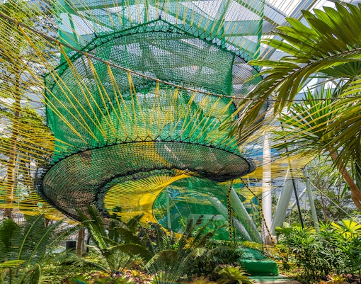 Jewel Changi Airport - Manulife Sky Nets
