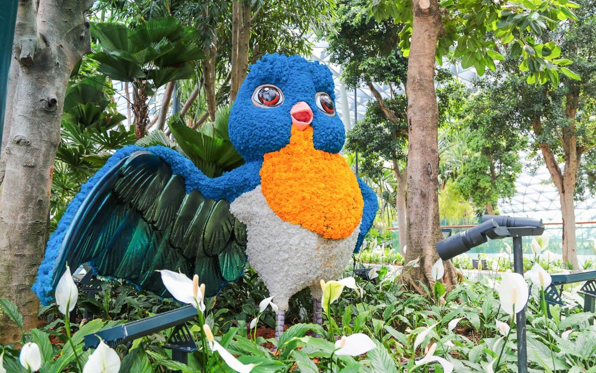 tickets to jewel changi airport with bouncing & walking net & free access to canopy park-12 tickets to jewel changi airport with bouncing & walking net & free access to canopy park-12
