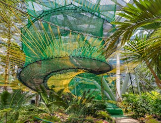 Manulife Sky Nets- Jewel Changi Attractions