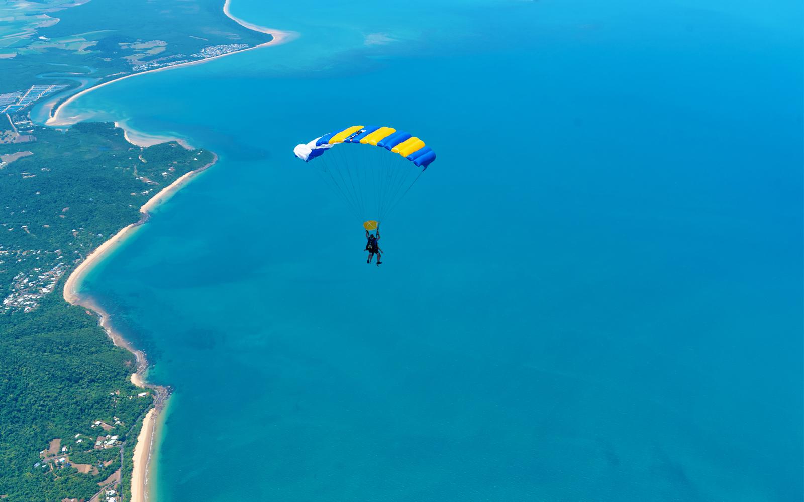 Tandem skydive over Mission Beach with ocean and coastline view.