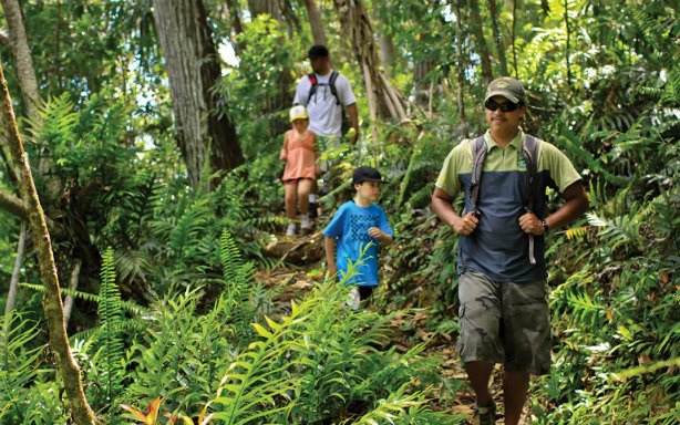 Hikers walking through lush forest on Kalihiwai Falls trail in Kauai, Hawaii.