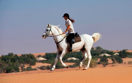 Horseback riding at Al Maha Desert Resort & Spa, Dubai.