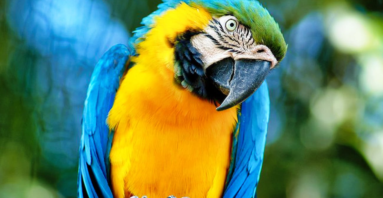 Rome Bucket List Experiences