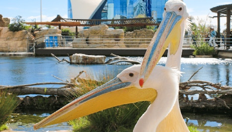 Oceanografic Valencia- Wetlands