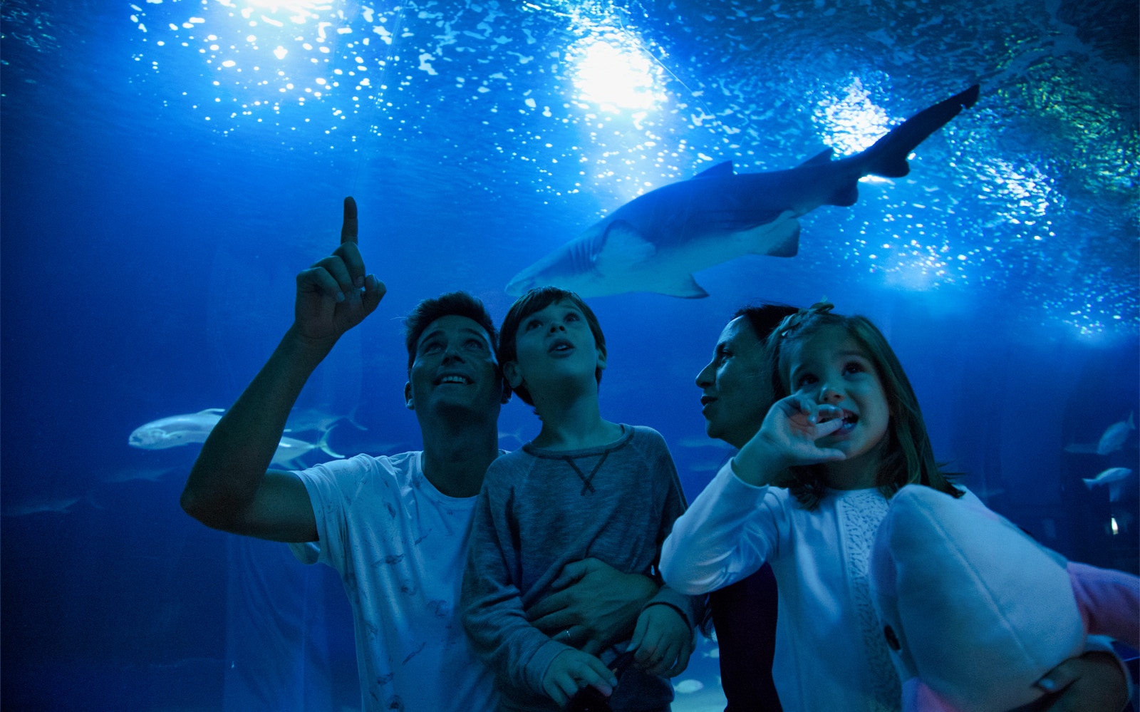 Oceanogràfic & Science Museum Valencia exterior with futuristic architecture and water features.