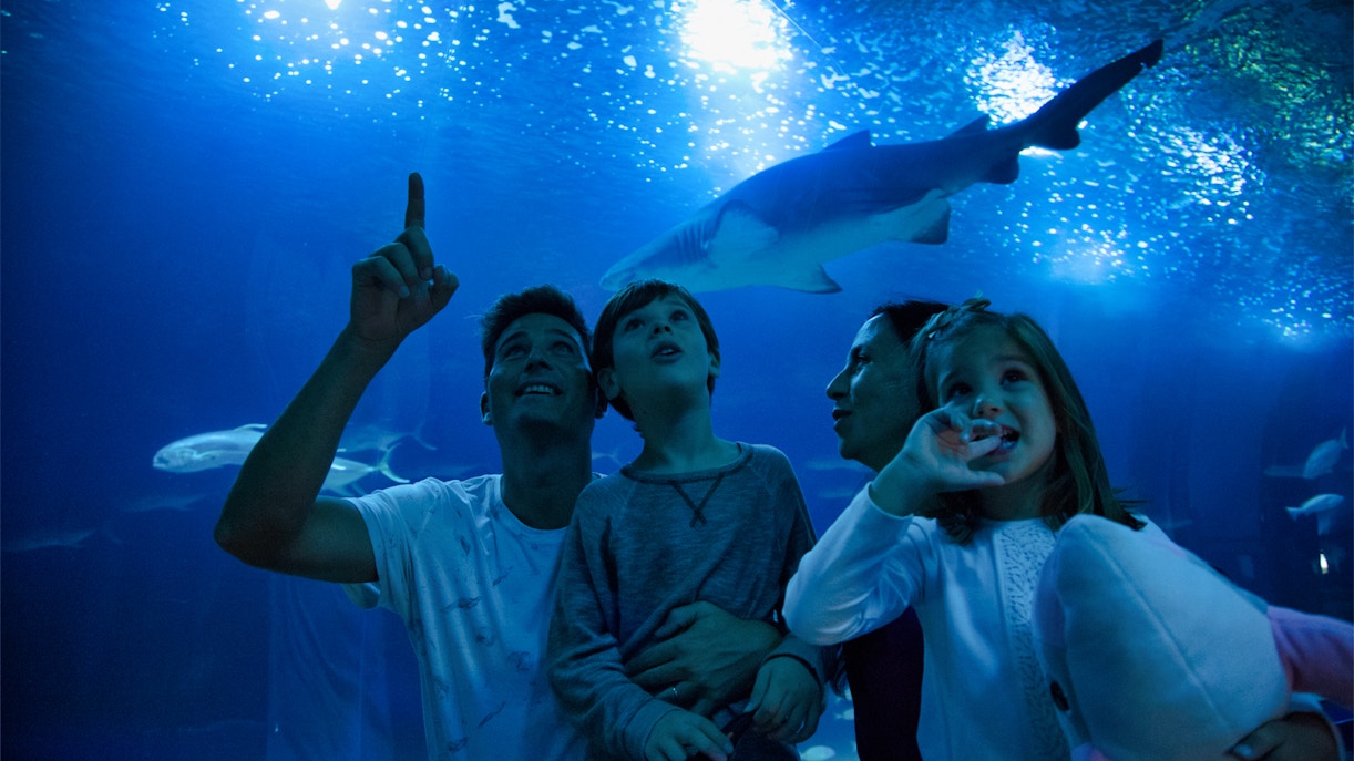 Oceanogràfic Valencia Tickets