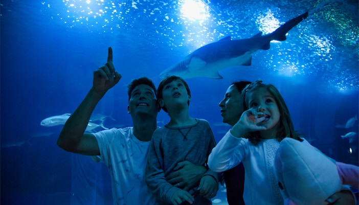 Oceanogràfic 1-Day Tickets