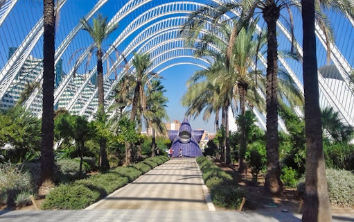 Valencia City of Arts and Sciences garden walkway with palm trees and modern architecture.