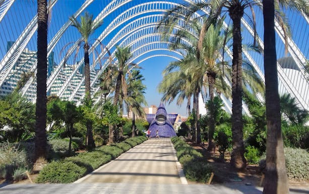 Valencia City of Arts and Sciences garden walkway with palm trees and modern architecture.