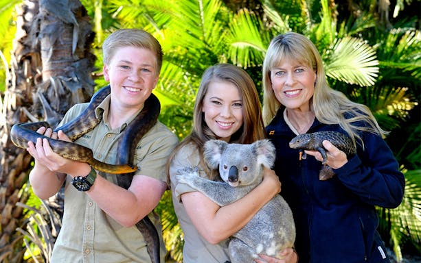 People holding a snake, koala, and lizard at Australia Zoo.