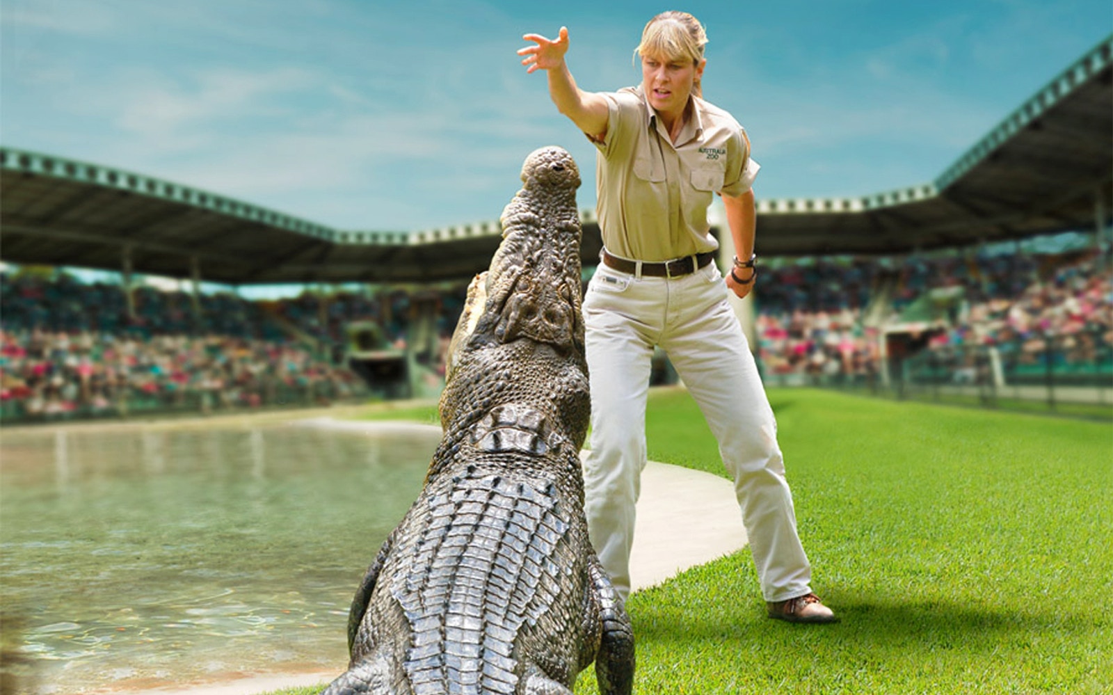 Crocoseum