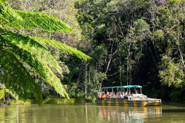 Kuranda Scenic Railway 