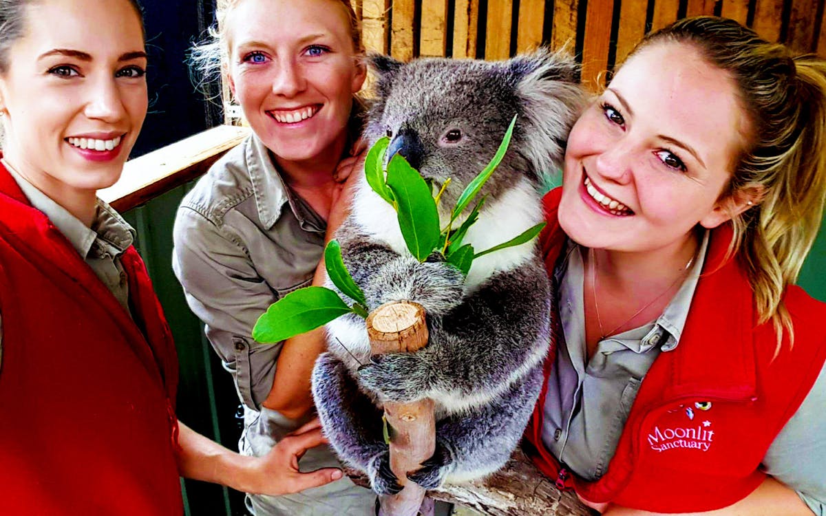 moonlit sanctuary wildlife park night tour-3 moonlit sanctuary wildlife park night tour-3