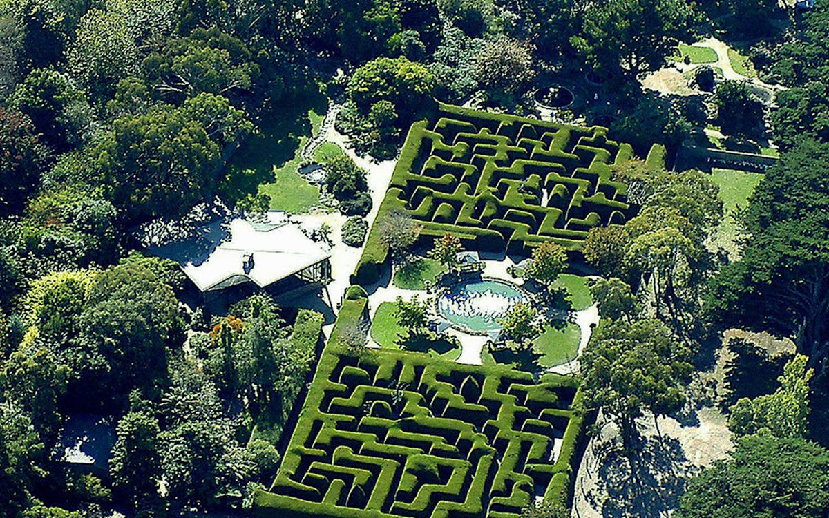 ashcombe maze and lavender gardens admission tickets-0 ashcombe maze and lavender gardens admission tickets-0