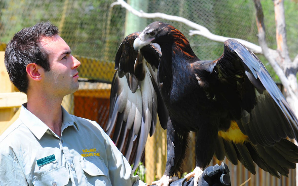 ballarat wildlife park tickets-2 ballarat wildlife park tickets-2