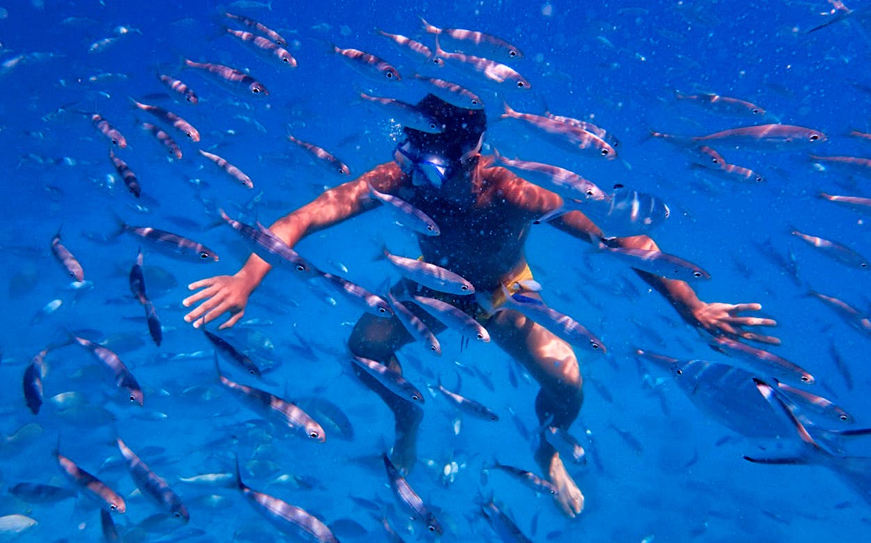 Snorkeler surrounded by fish in clear waters during Lobos Island visit from Corralejo.