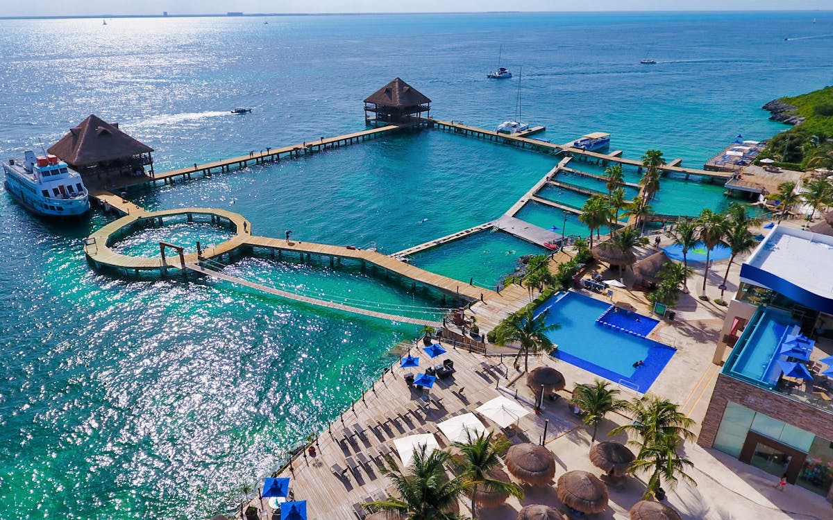 isla mujeres: dolphin royal swim vip with optional royal garrafón reef park-6 isla mujeres: dolphin royal swim vip with optional royal garrafón reef park-6