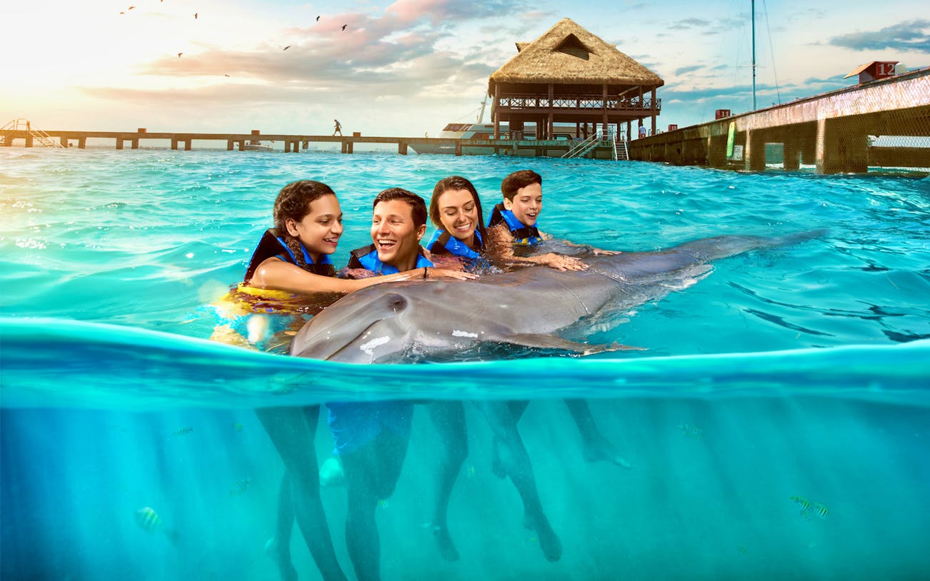 Group swimming with dolphin at Isla Mujeres, pier and hut in background.