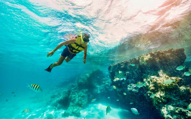 Snorkeler exploring coral reef with fish in Isla Mujeres waters.