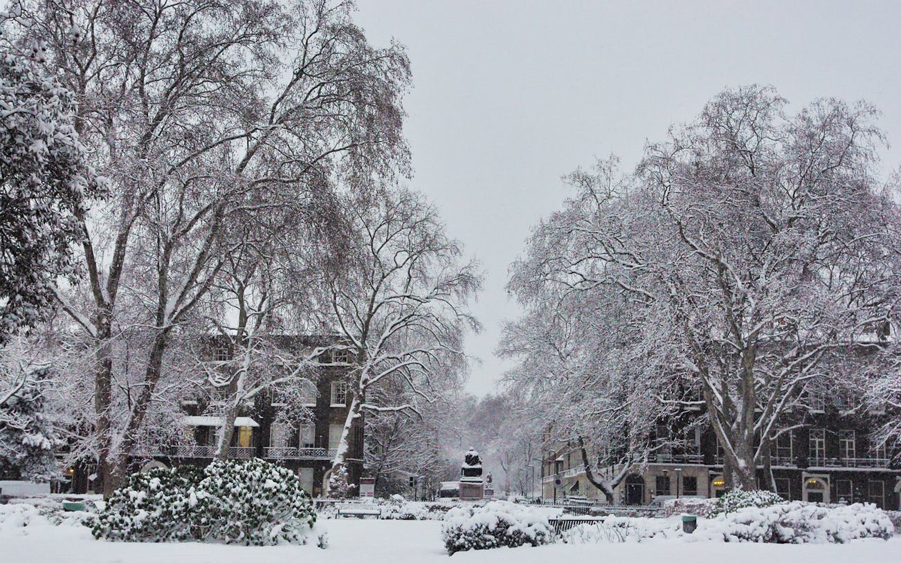 Snow-covered park in London with bare trees and historic buildings on Christmas Day.