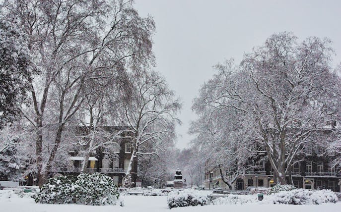 Snow-covered park in London with bare trees and historic buildings on Christmas Day.